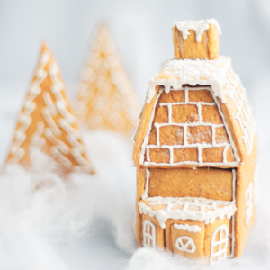 Daring Bakers and the Gingerbread Village