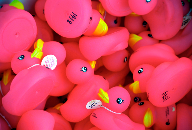 Duckies in Pink