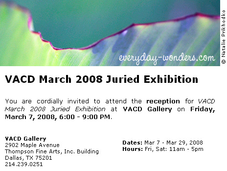 VACD March 2008 Juried Exhibition