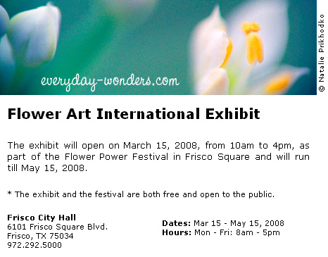 Flower Art International Exhibit